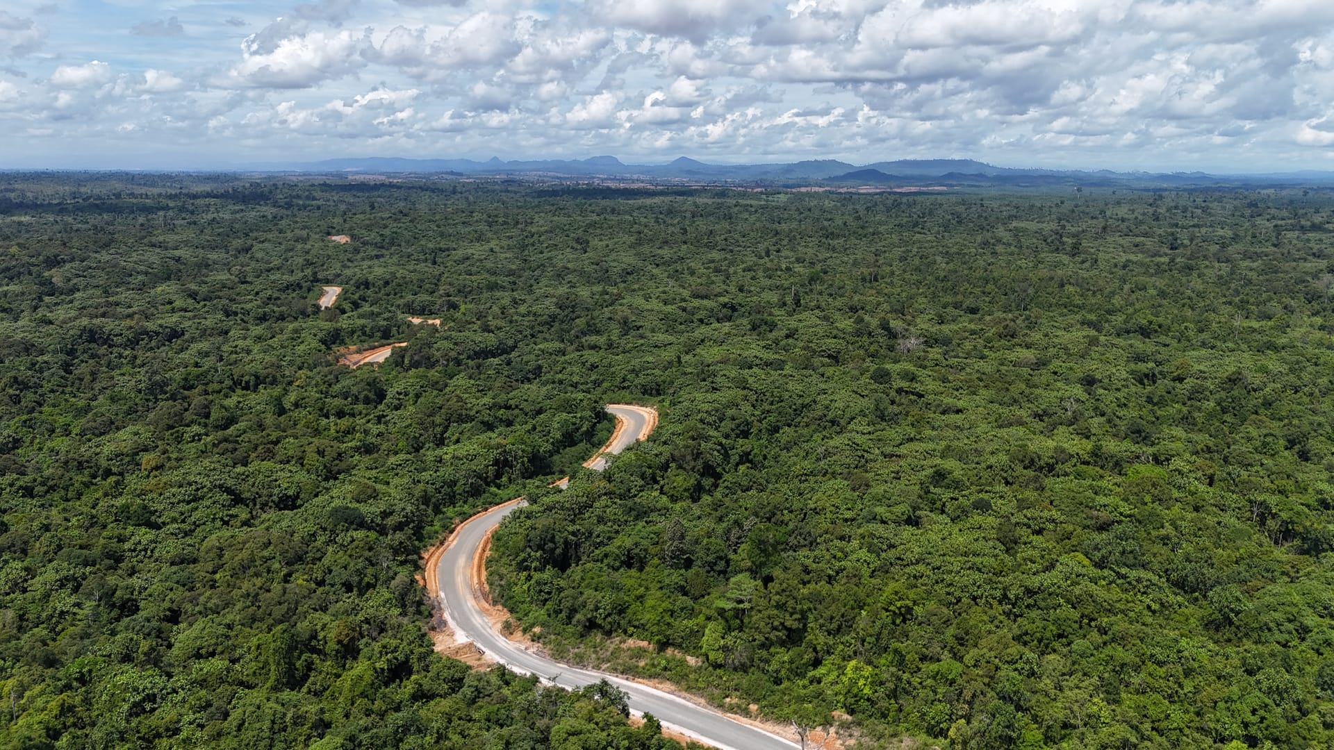 The canopy baseline
