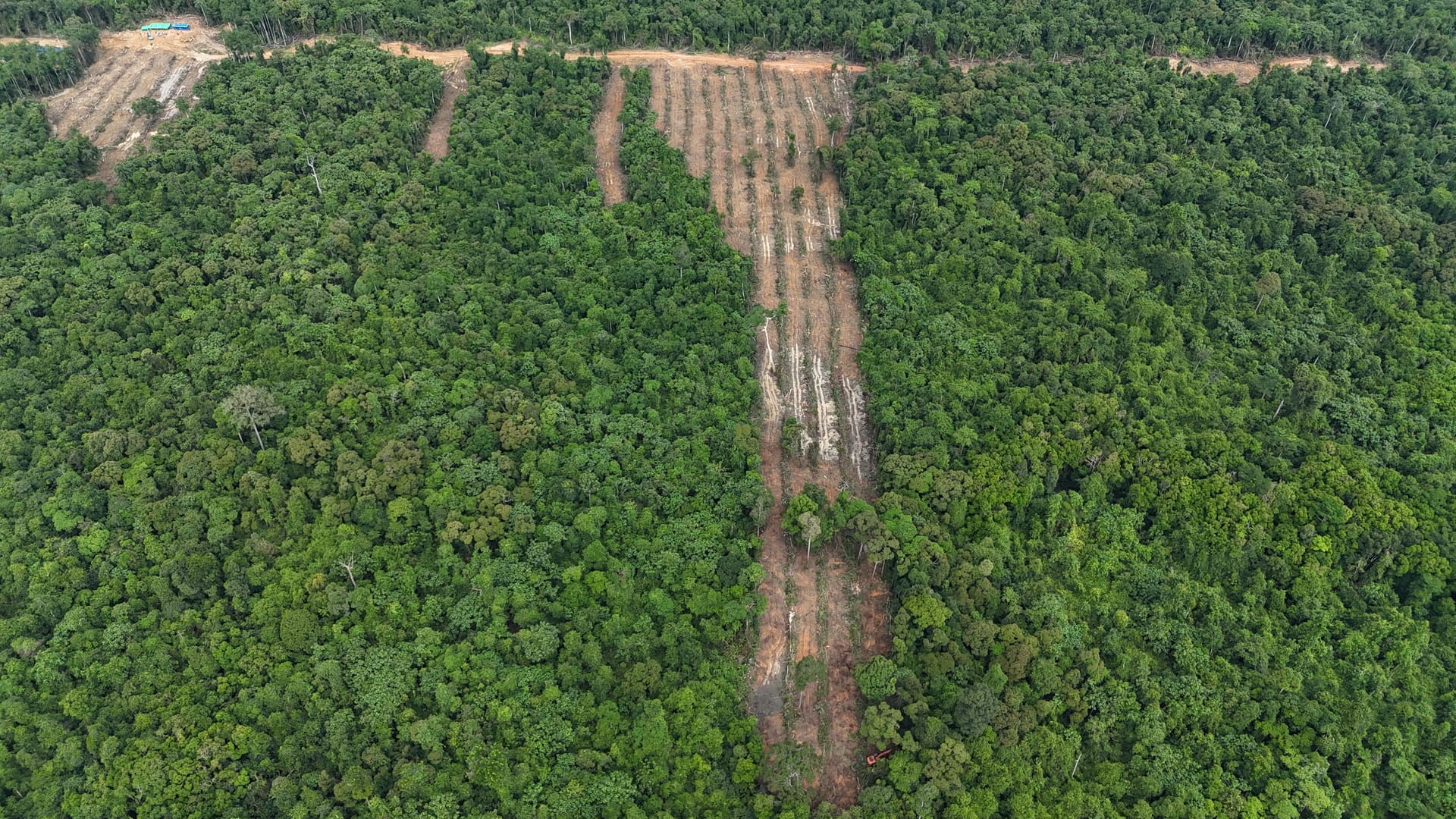 Opening the land