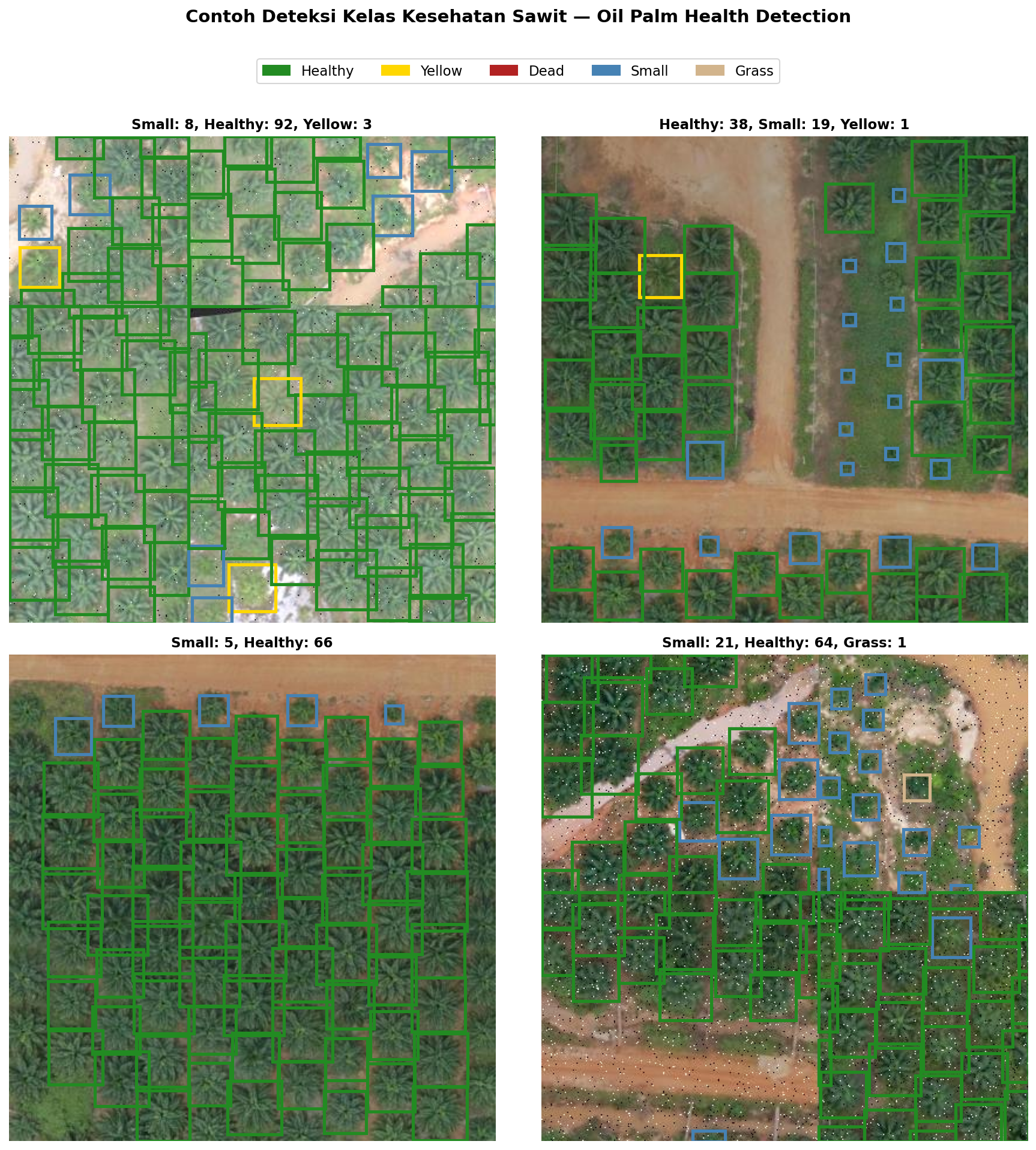 YOLOv8 oil-palm health detections across four sample tiles